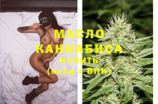 мяу мяу мука Гусь-Хрустальный