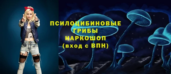 a pvp Гусиноозёрск