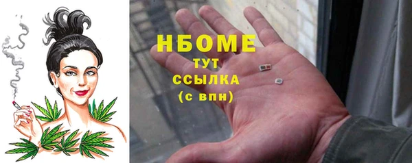 тгк Гусев