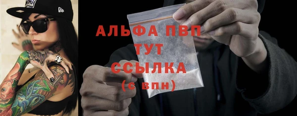тгк Гусев