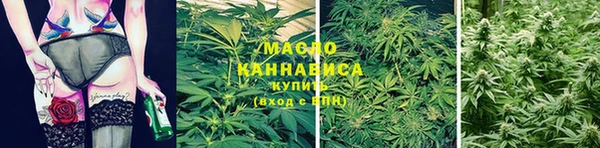 мяу мяу мука Гусь-Хрустальный