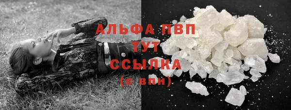 тгк Гусев