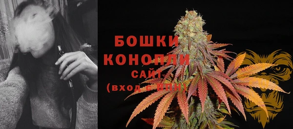 тгк Гусев